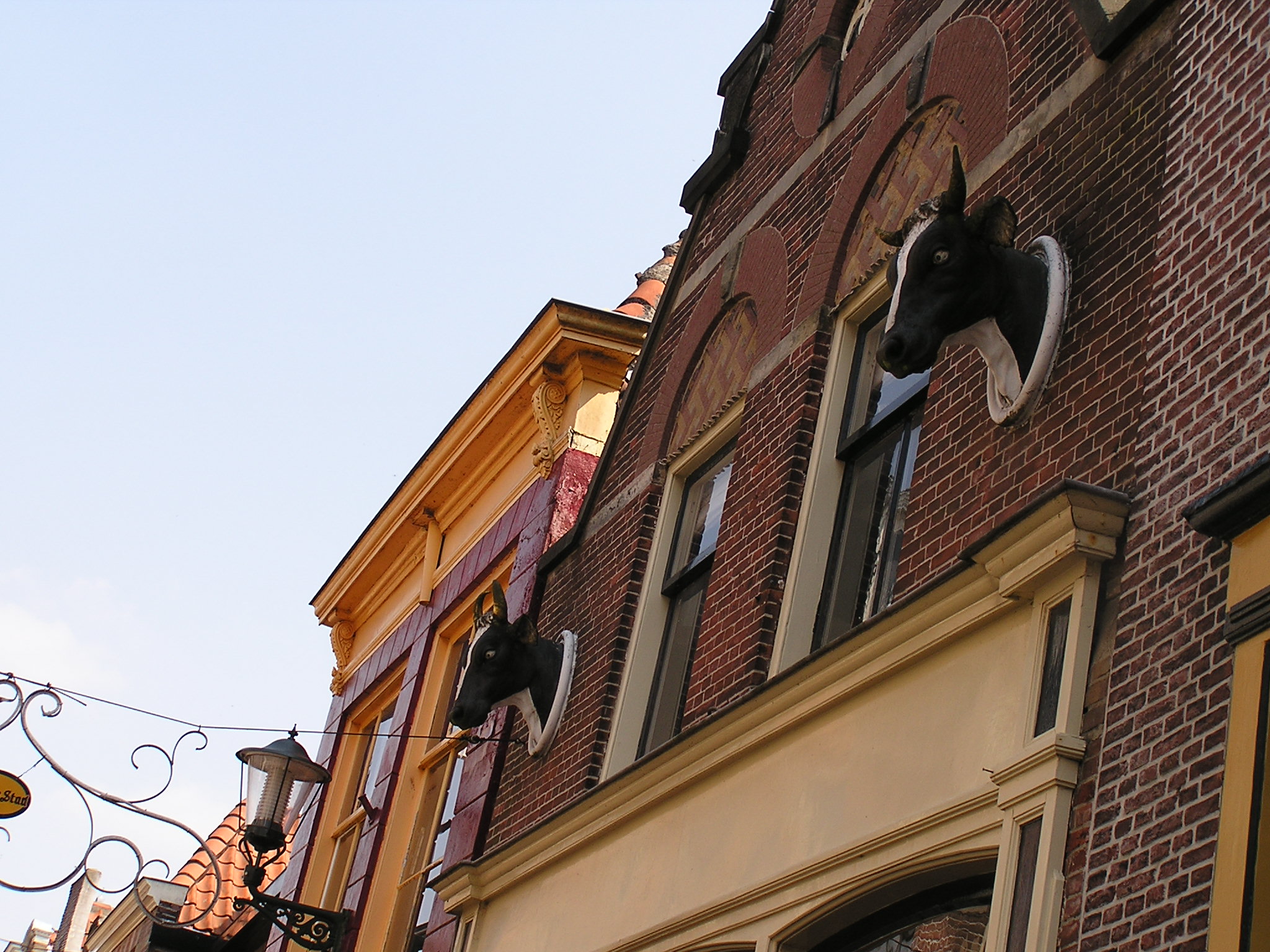 P1010105.JPG