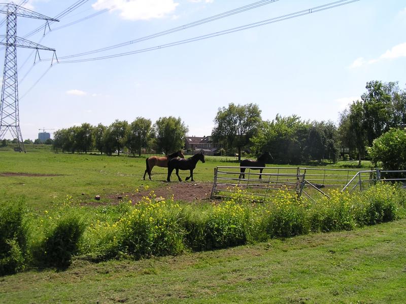 P1010001.JPG