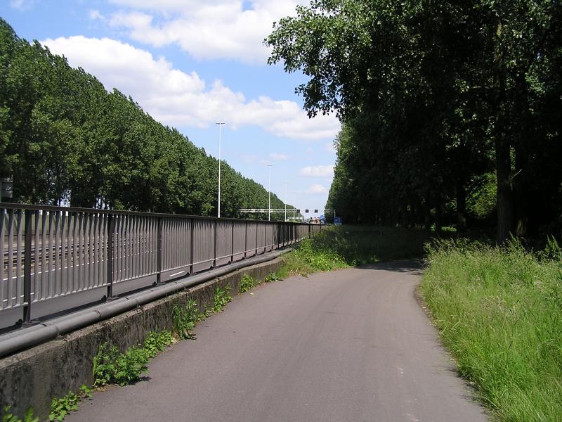 P1010009.JPG
