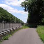 P1010009.JPG