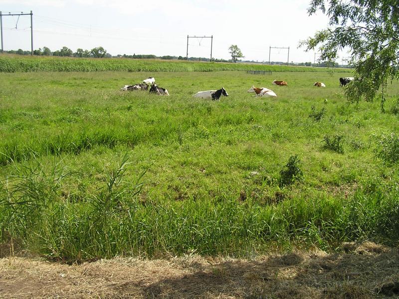 P1010016.JPG