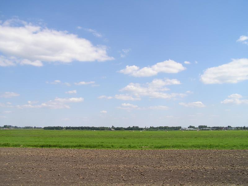 P1010018.JPG