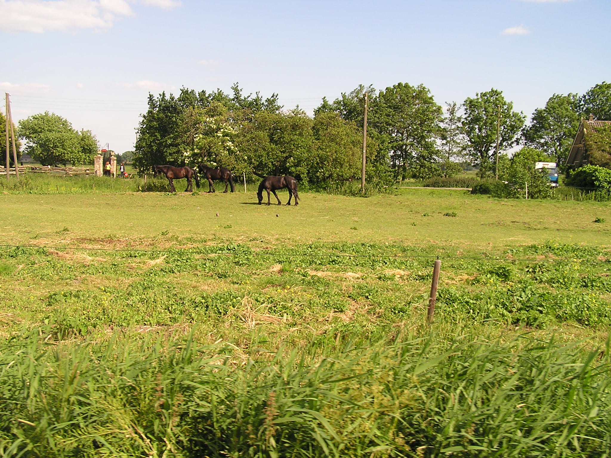 P1010060.JPG
