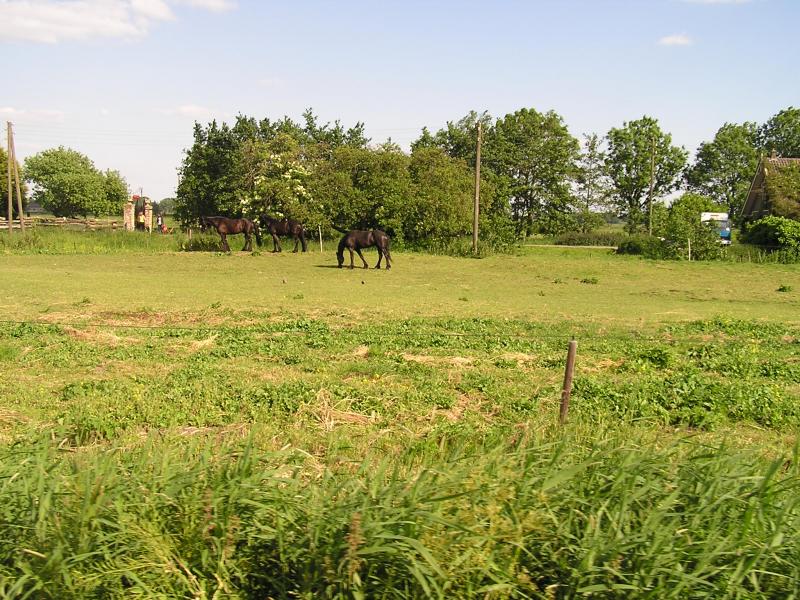 P1010060.JPG
