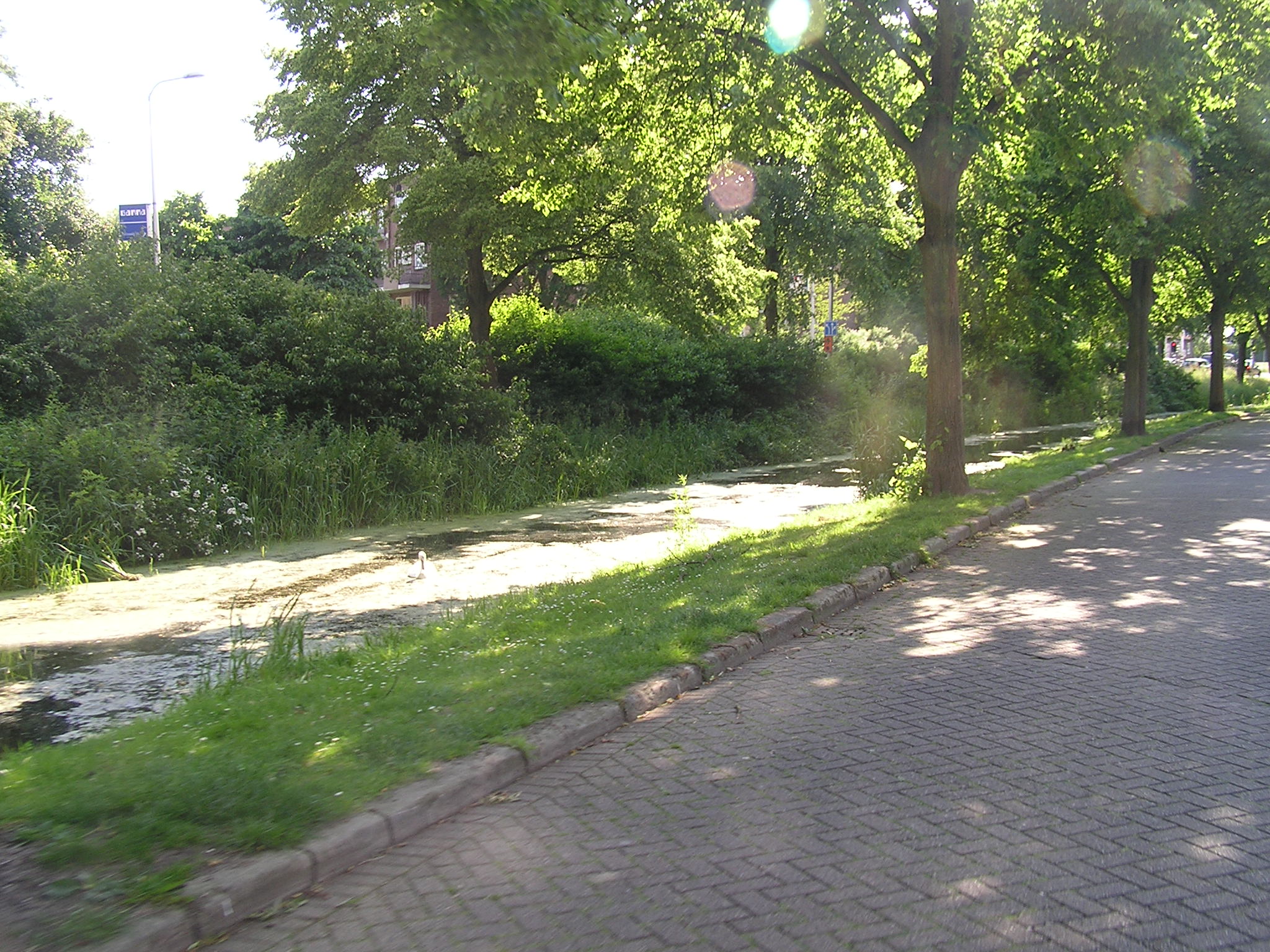 P1010053.JPG