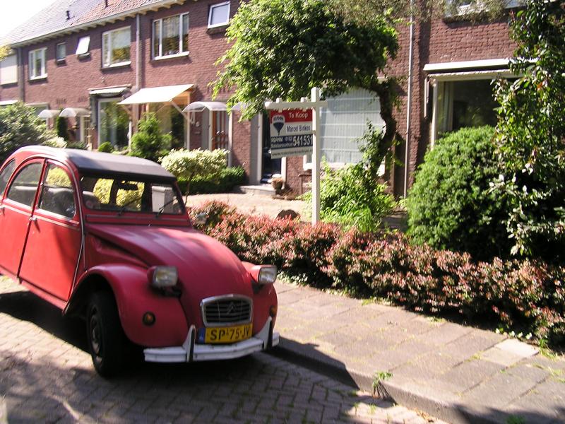 P1010054.JPG