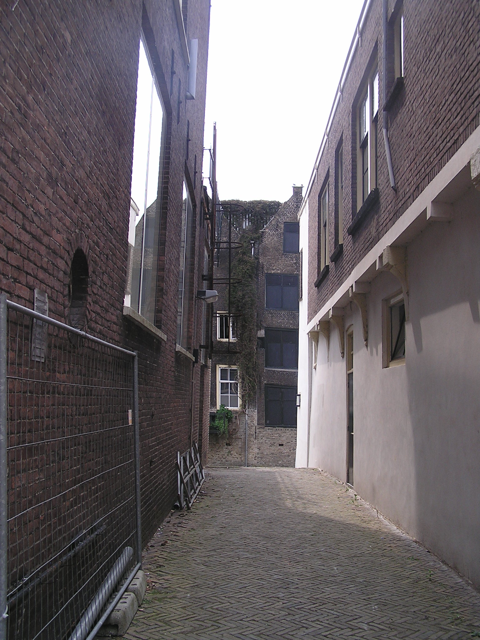 p1010066.jpg