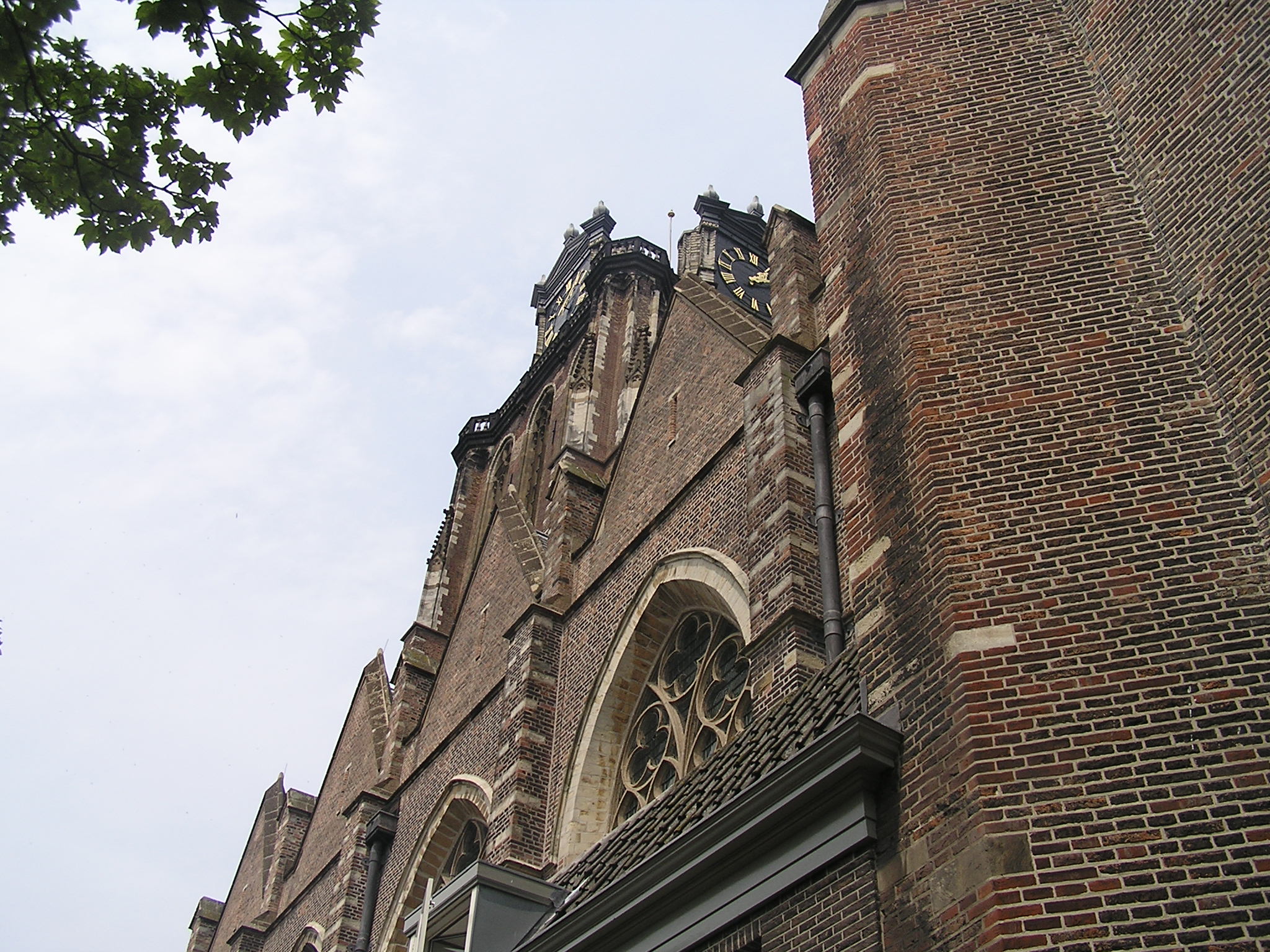 p1010074.jpg