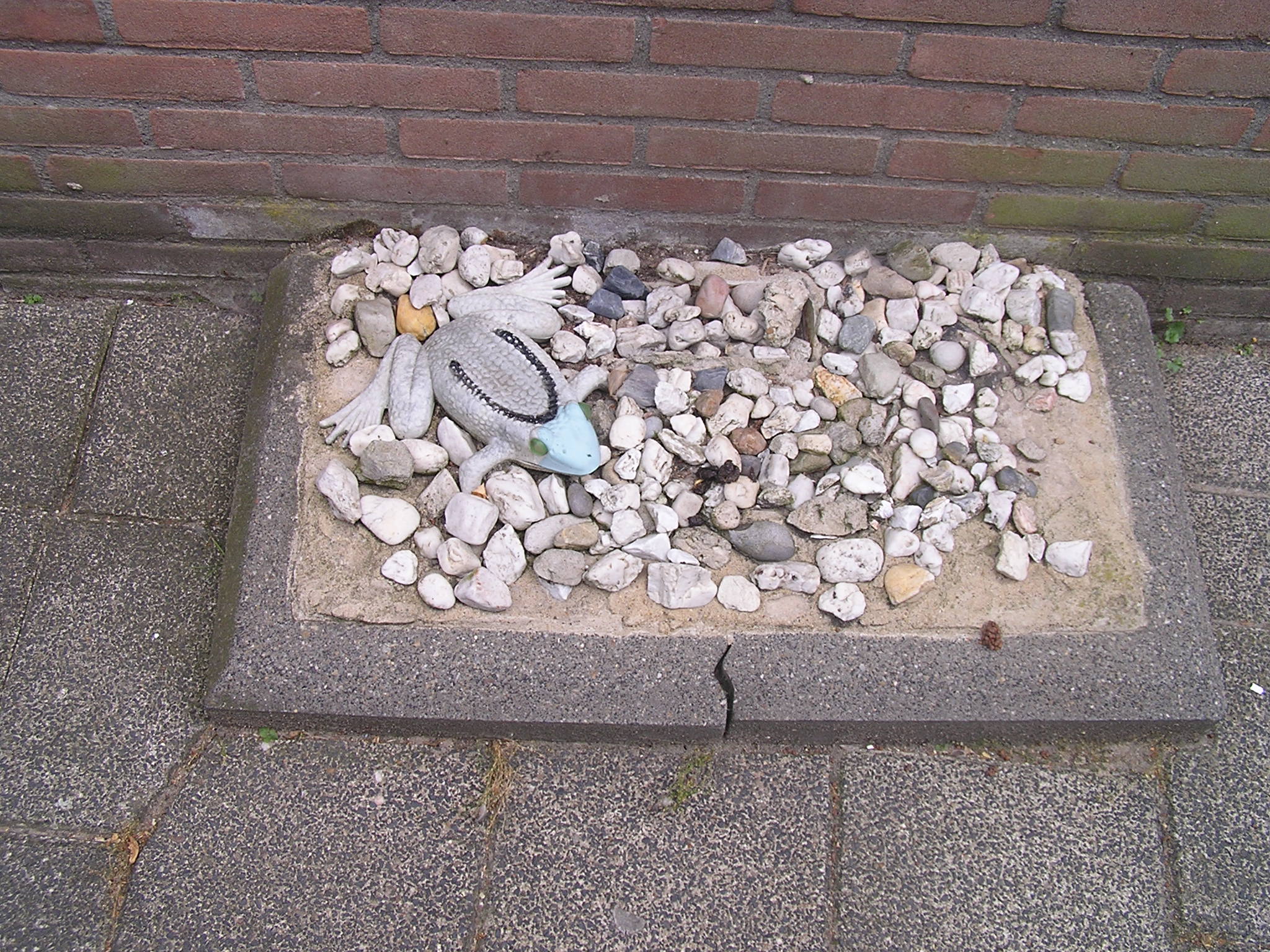 p1010083.jpg