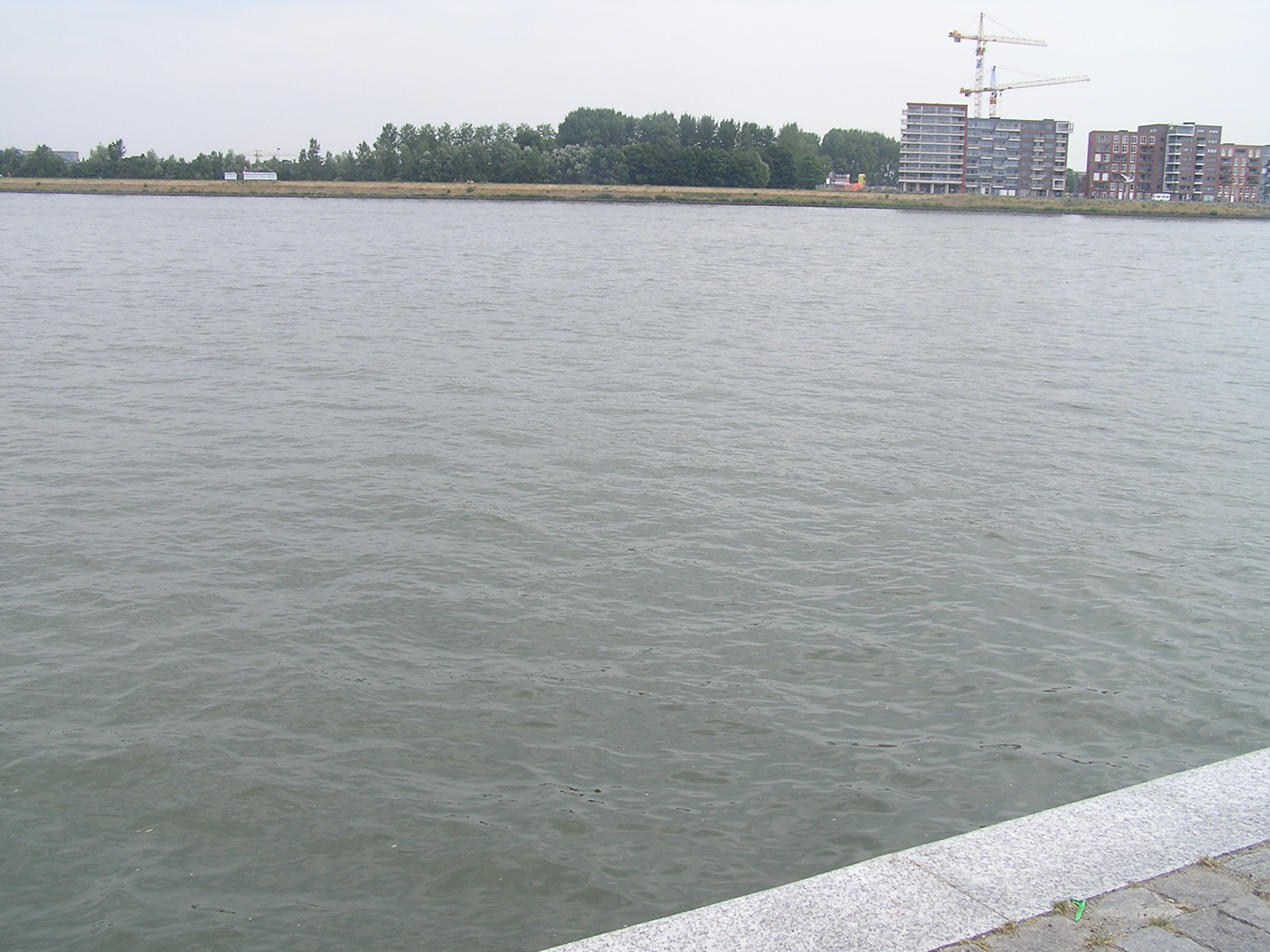 p1010034.jpg