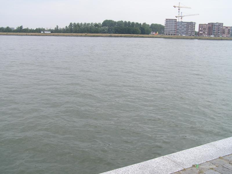 p1010034.jpg