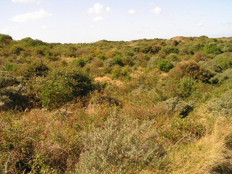 p1010025.jpg