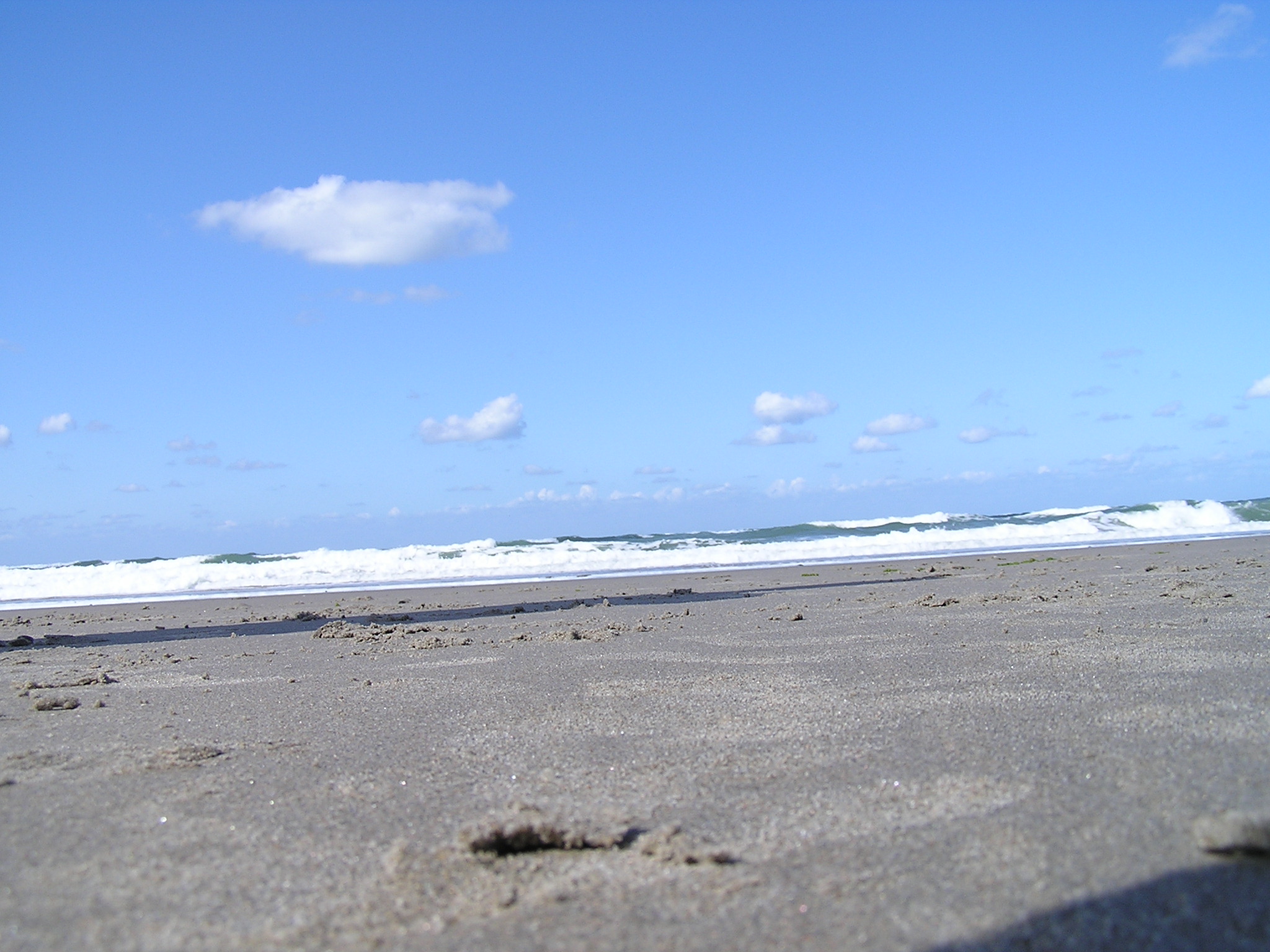 p1010056.jpg