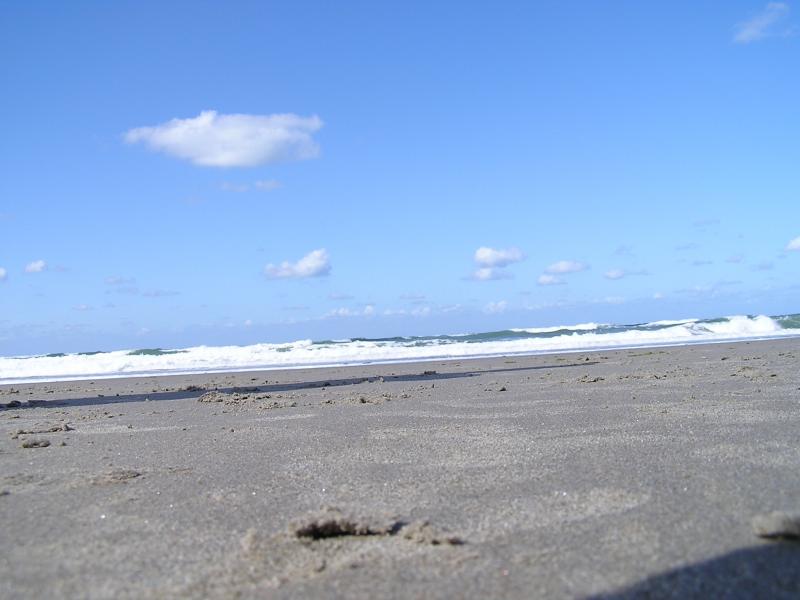 p1010056.jpg