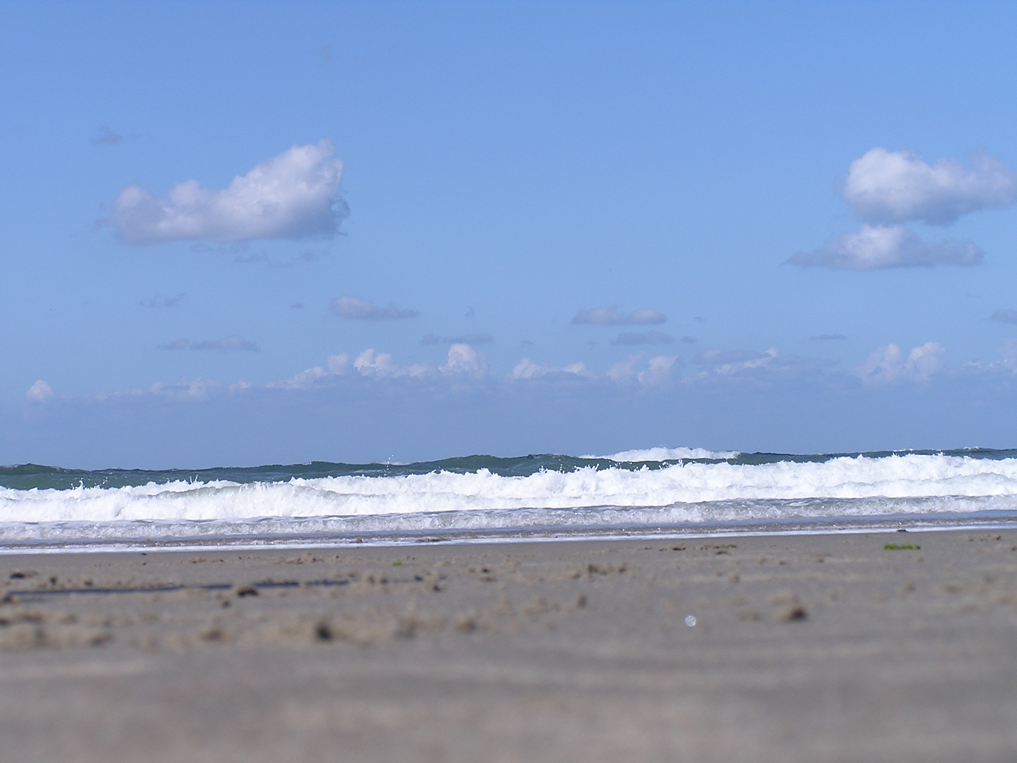 p1010057.jpg