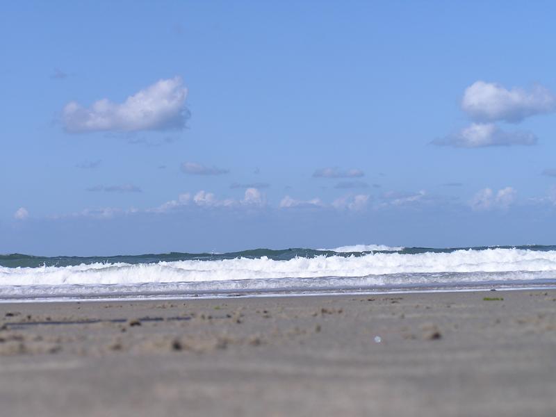 p1010057.jpg
