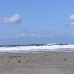 p1010057.jpg