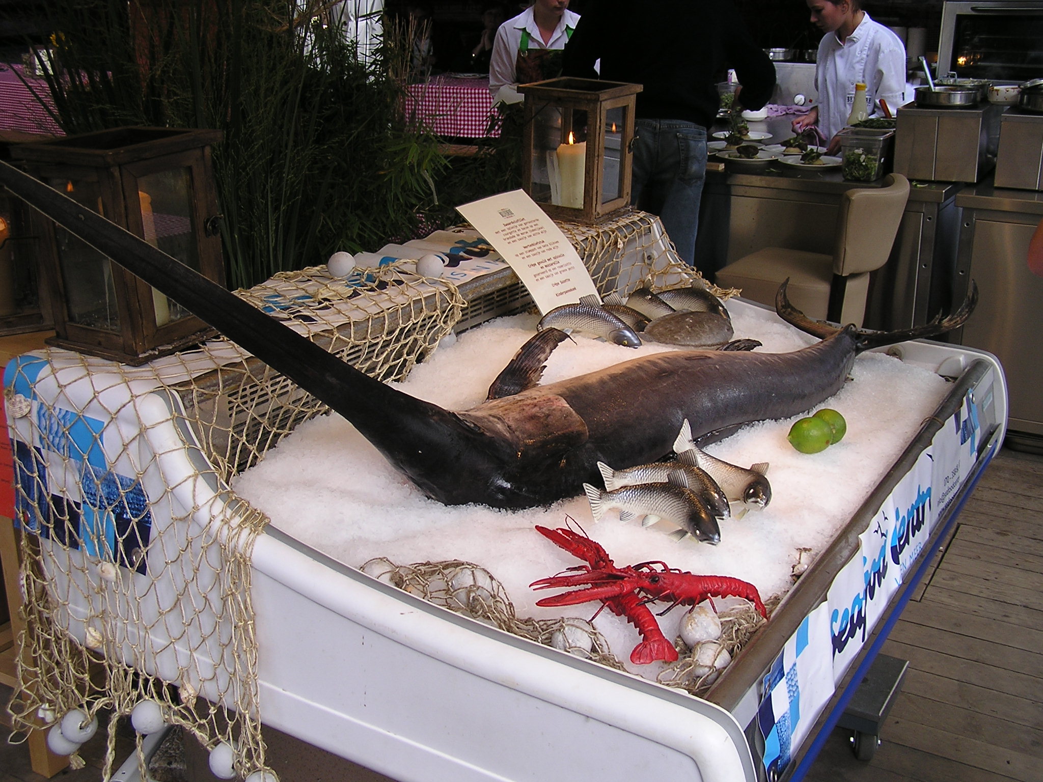 P1010177.JPG