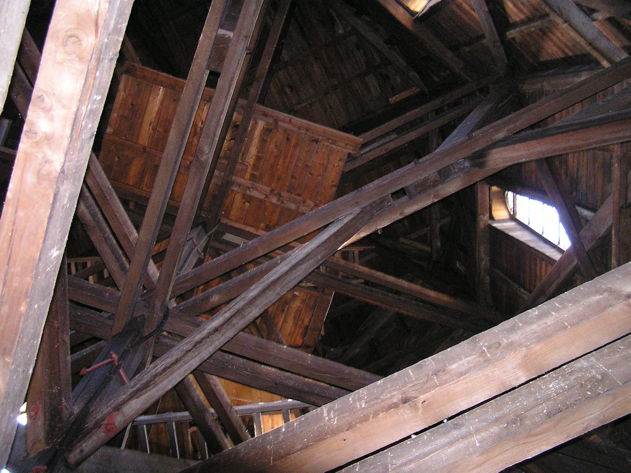 P1010106.JPG