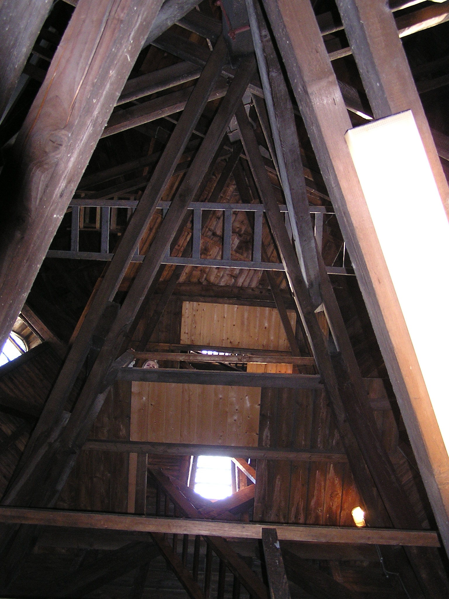 P1010107.JPG