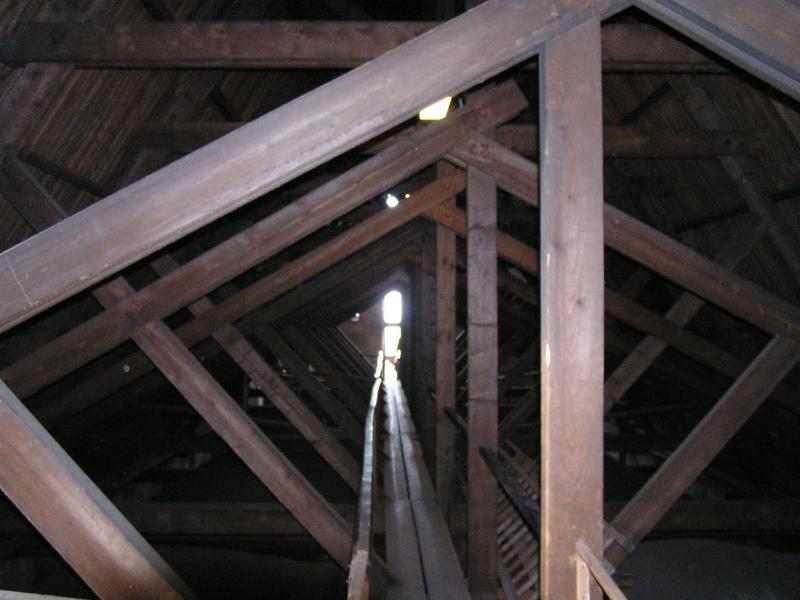 P1010108.JPG