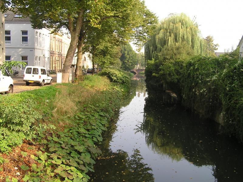 P1010018.JPG