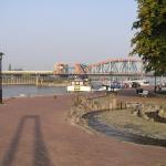P1010020.JPG