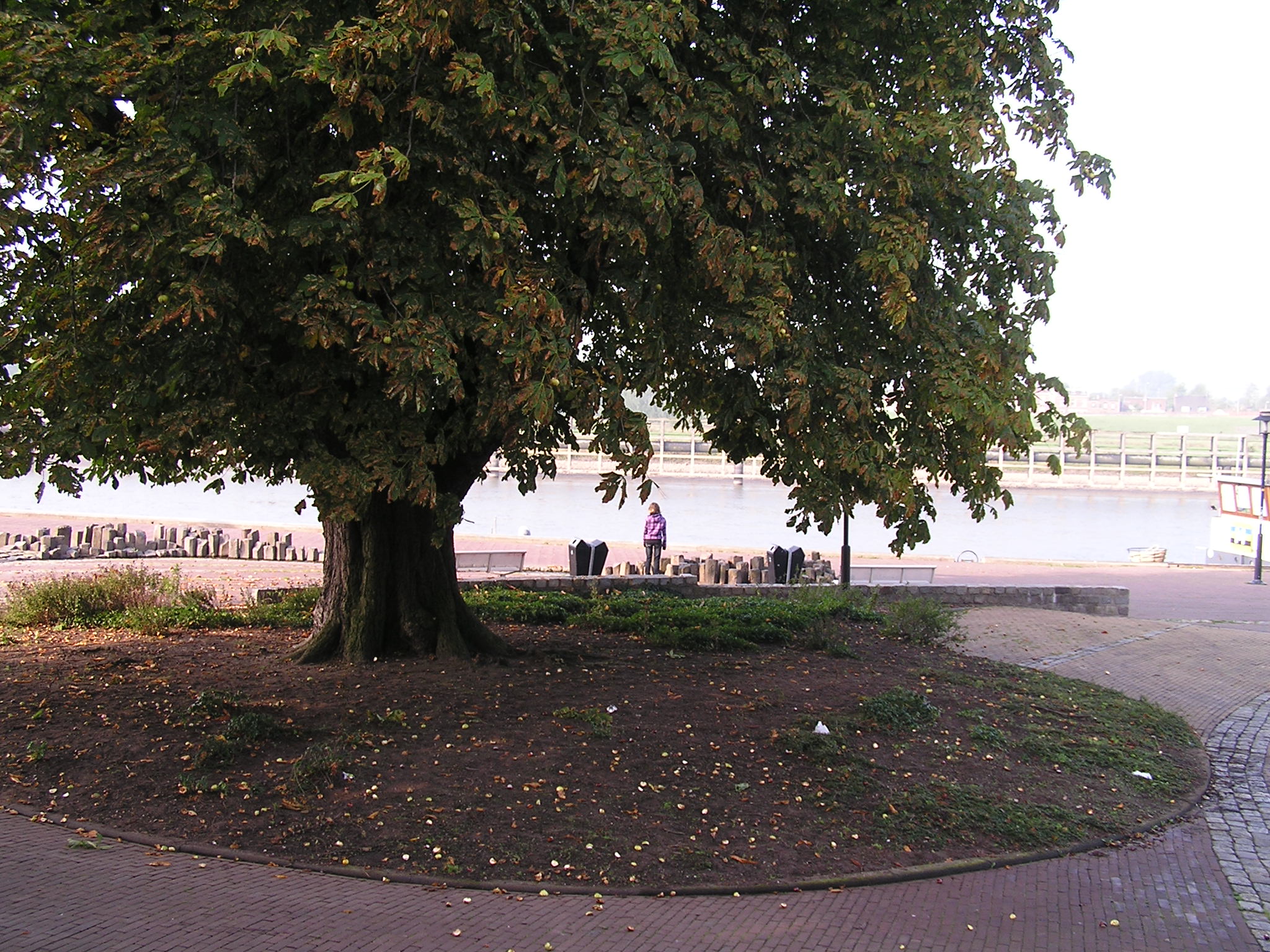 P1010041.JPG