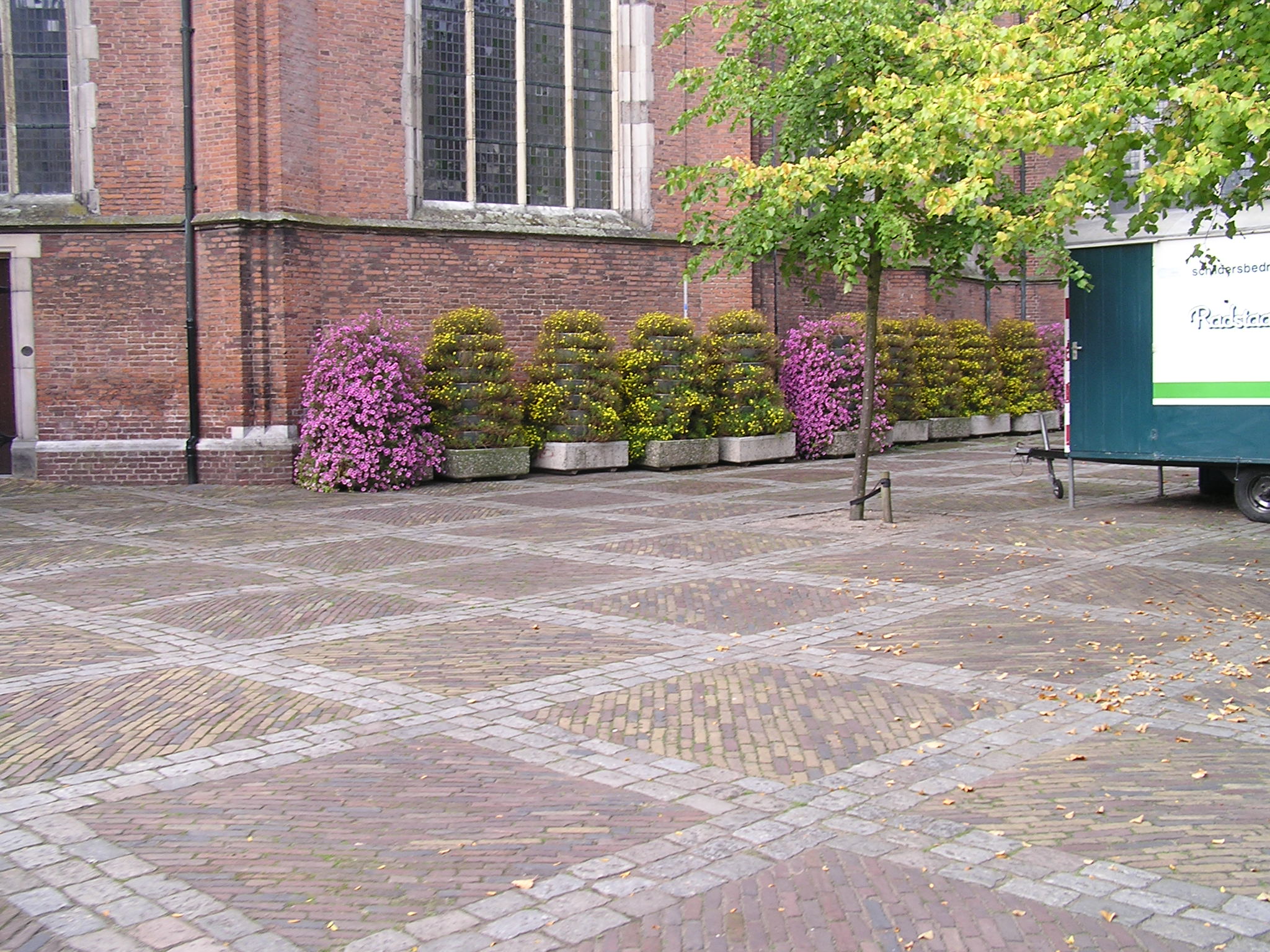 P1010130.JPG