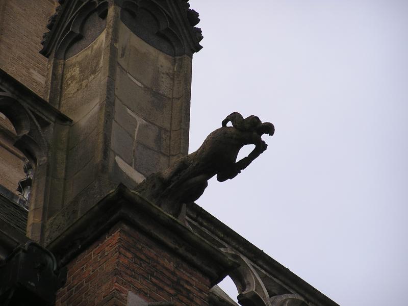 P1010132.JPG
