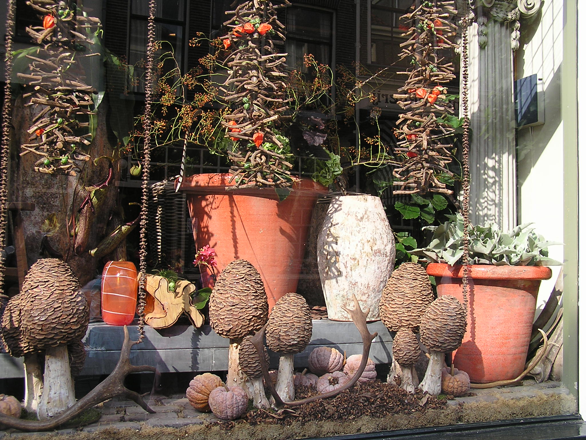 P1010134.JPG