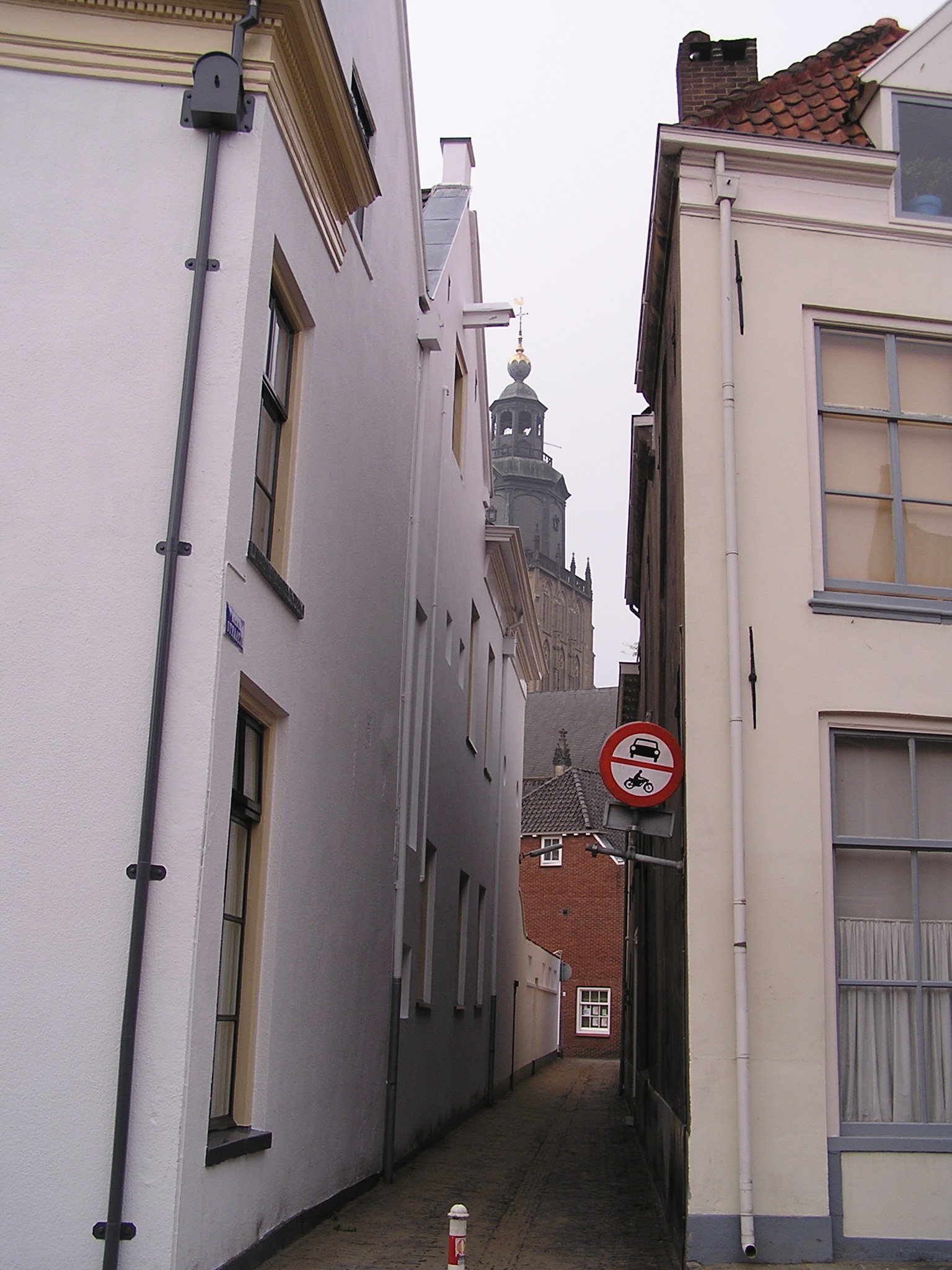 P1010100.JPG