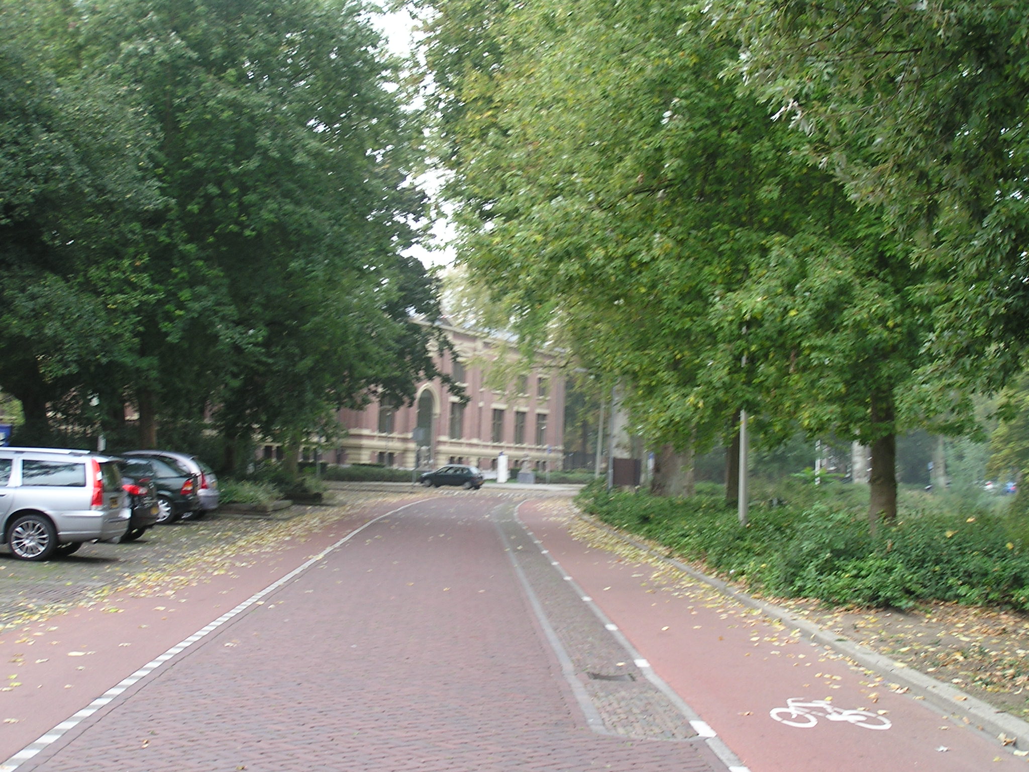 P1010118.JPG