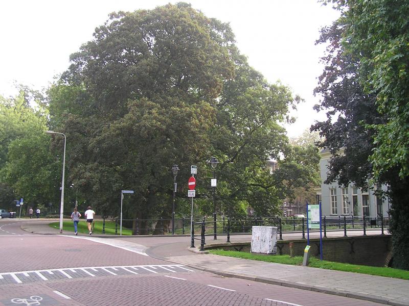 P1010121.JPG