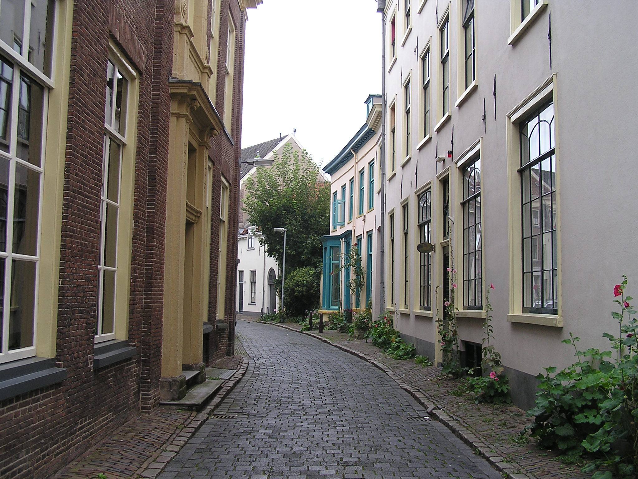 P1010077.JPG