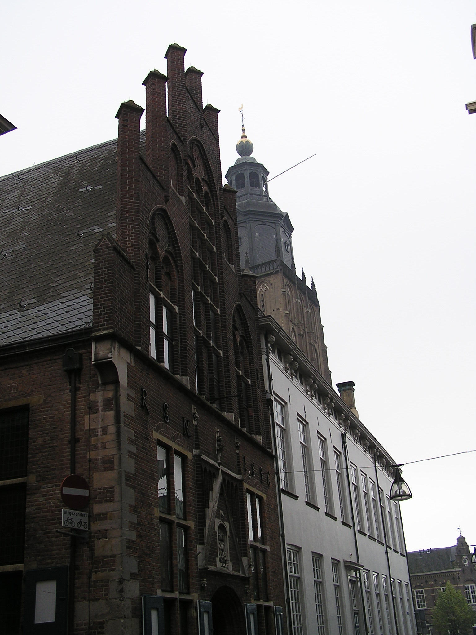 P1010078.JPG
