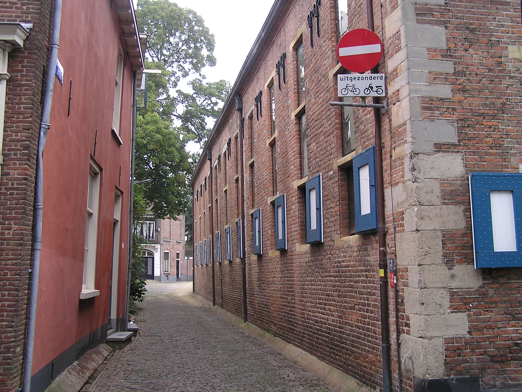 P1010079.JPG