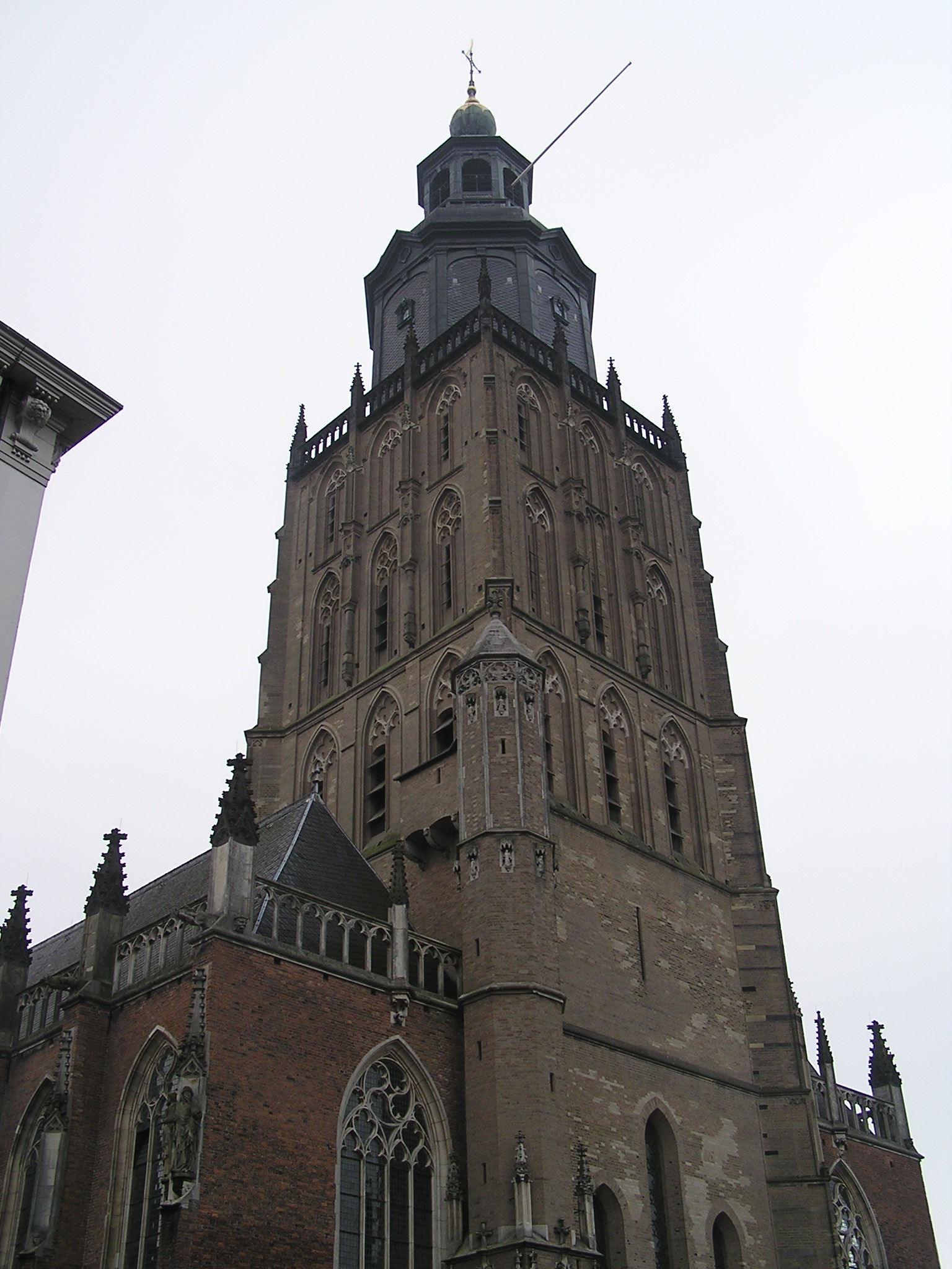 P1010080.JPG