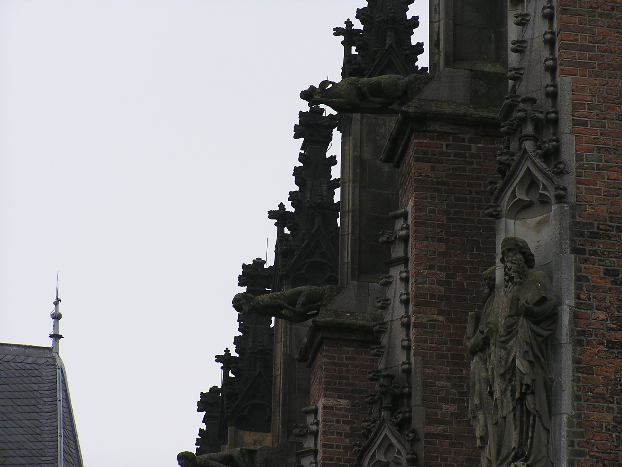 P1010082.JPG