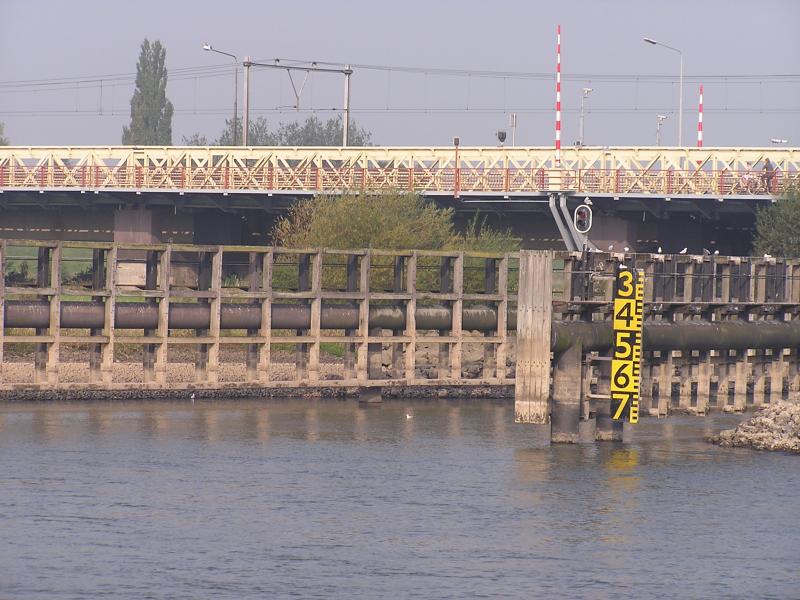 P1010051.JPG
