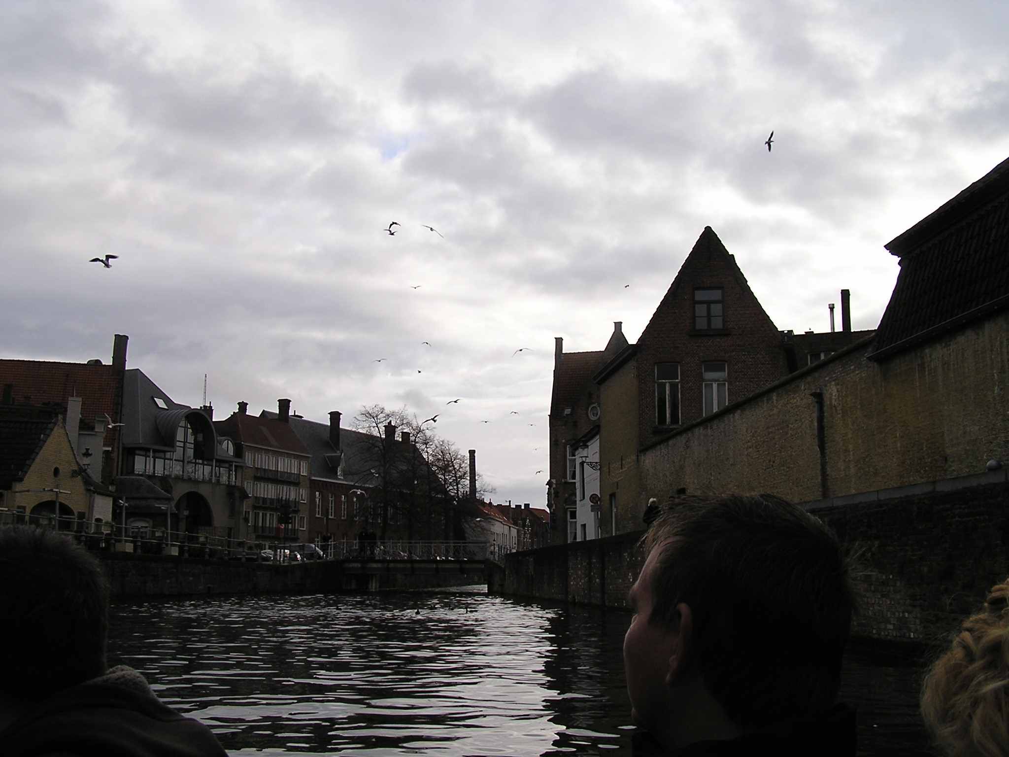 P1010026.JPG