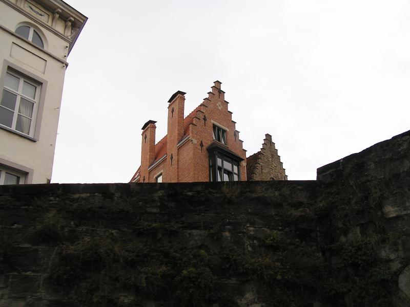 P1010040.JPG