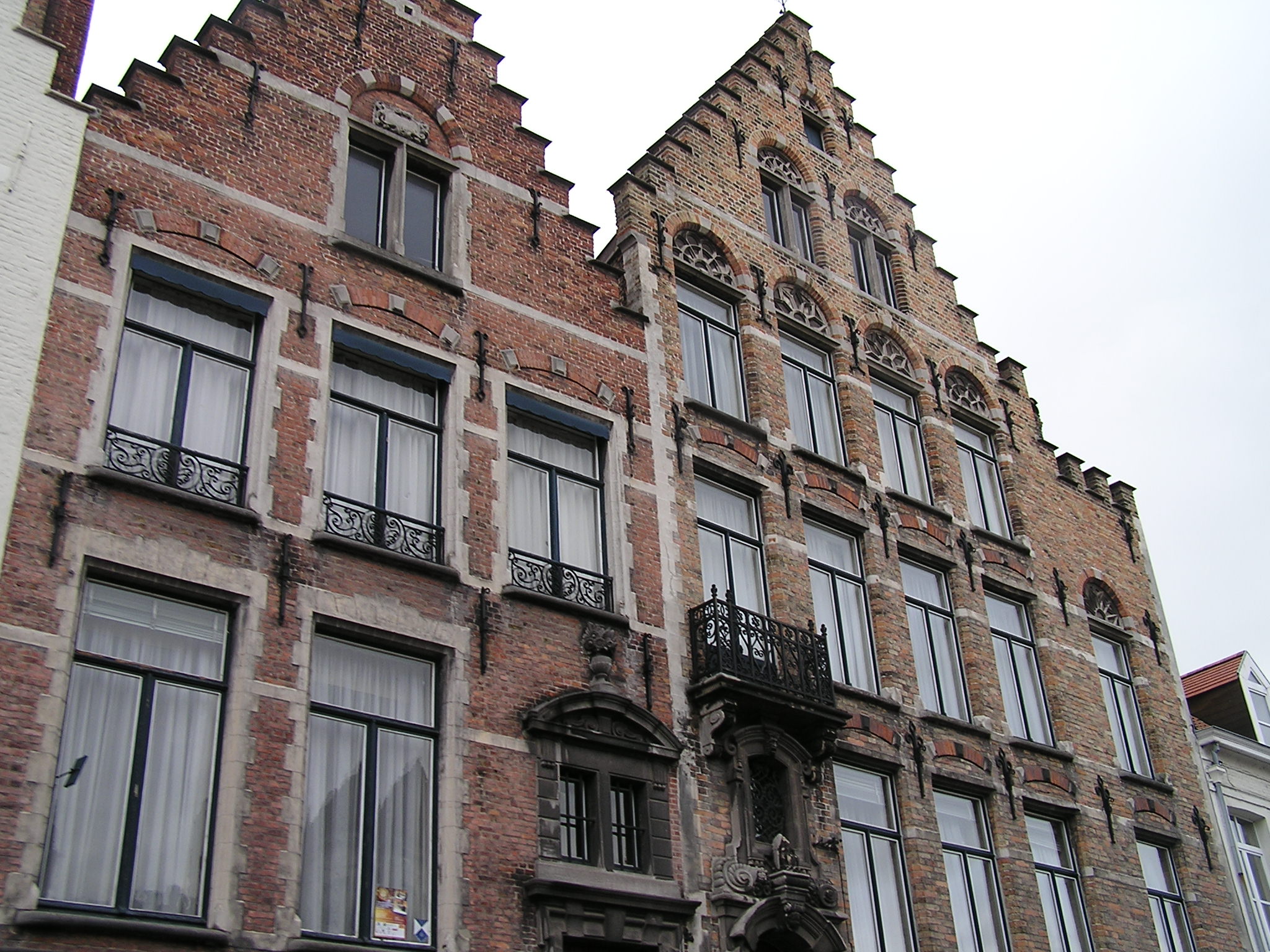 P1010045.JPG
