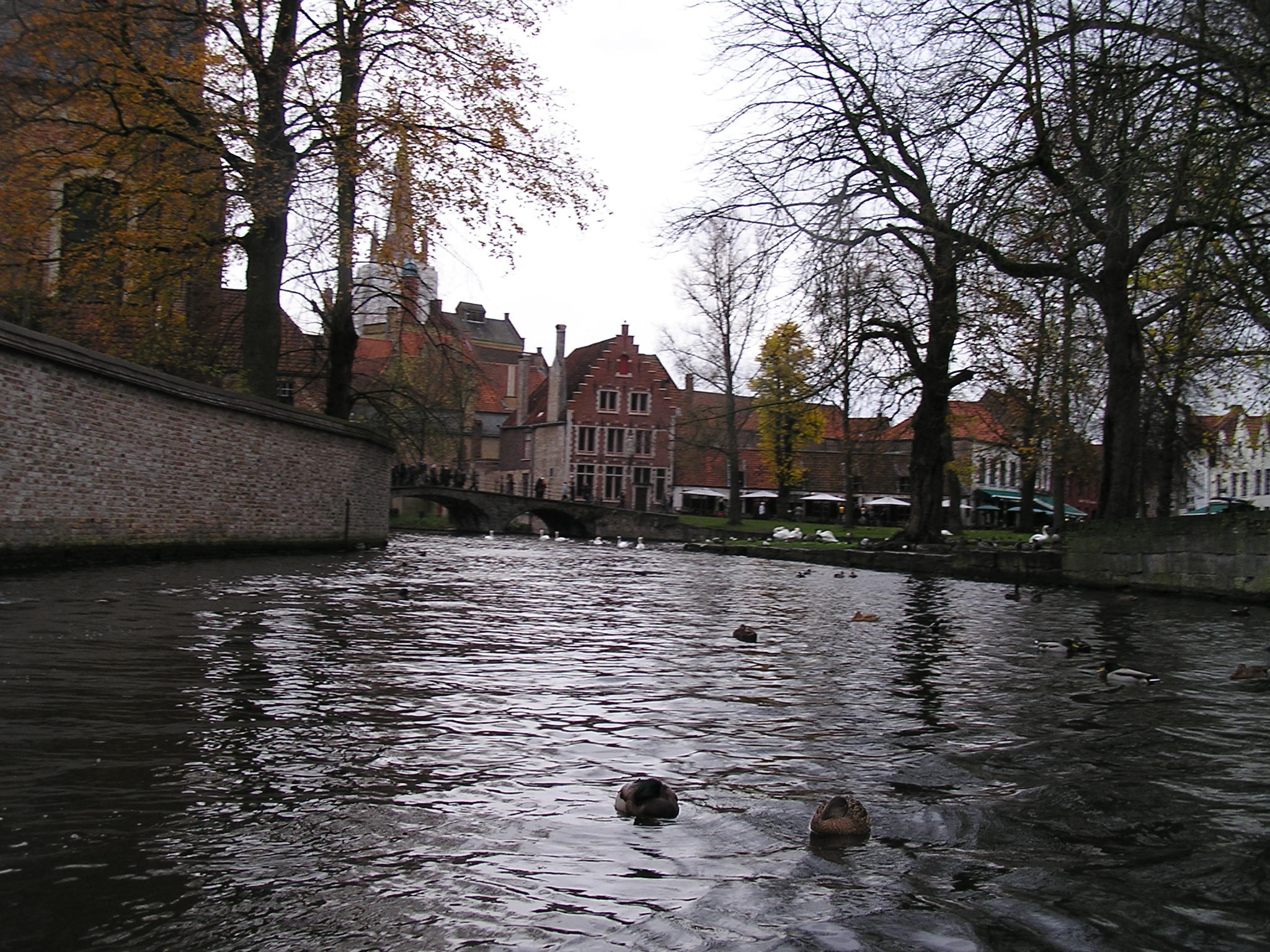 P1010090.JPG