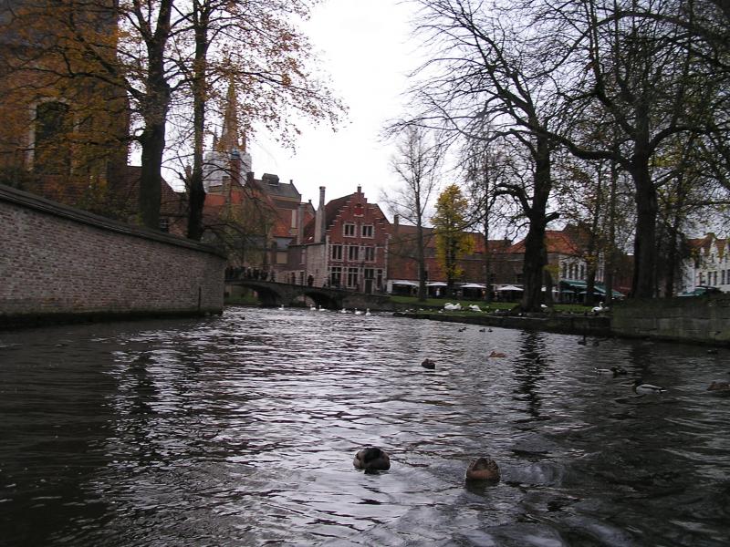 P1010090.JPG