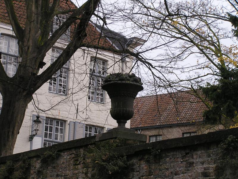 P1010069.JPG