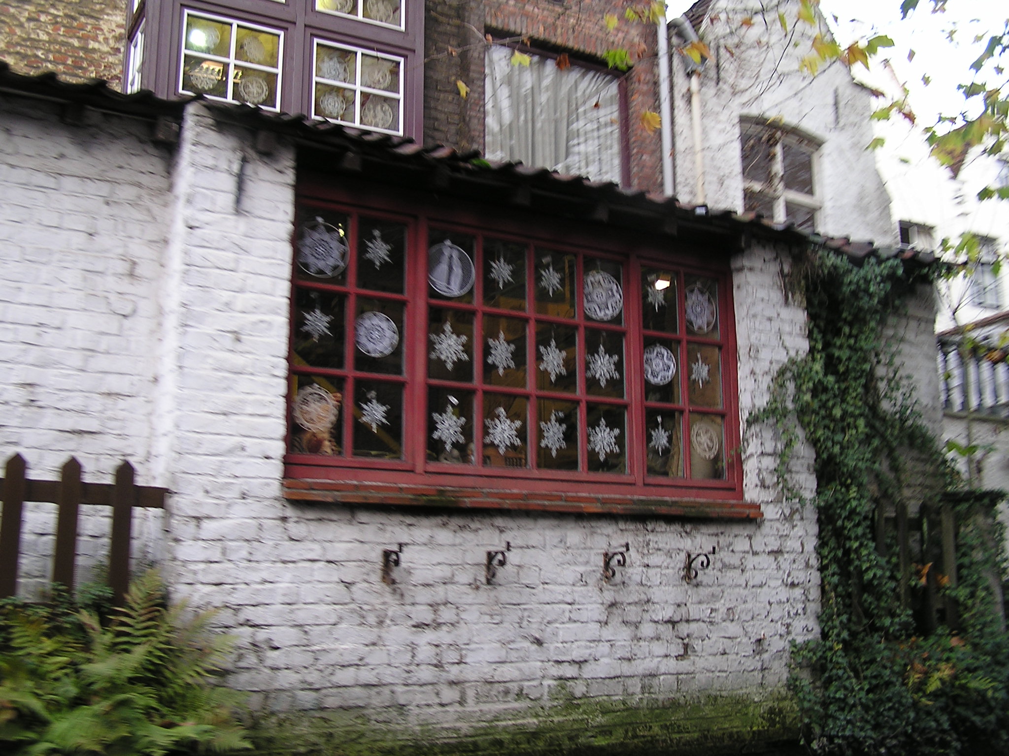 P1010102.JPG