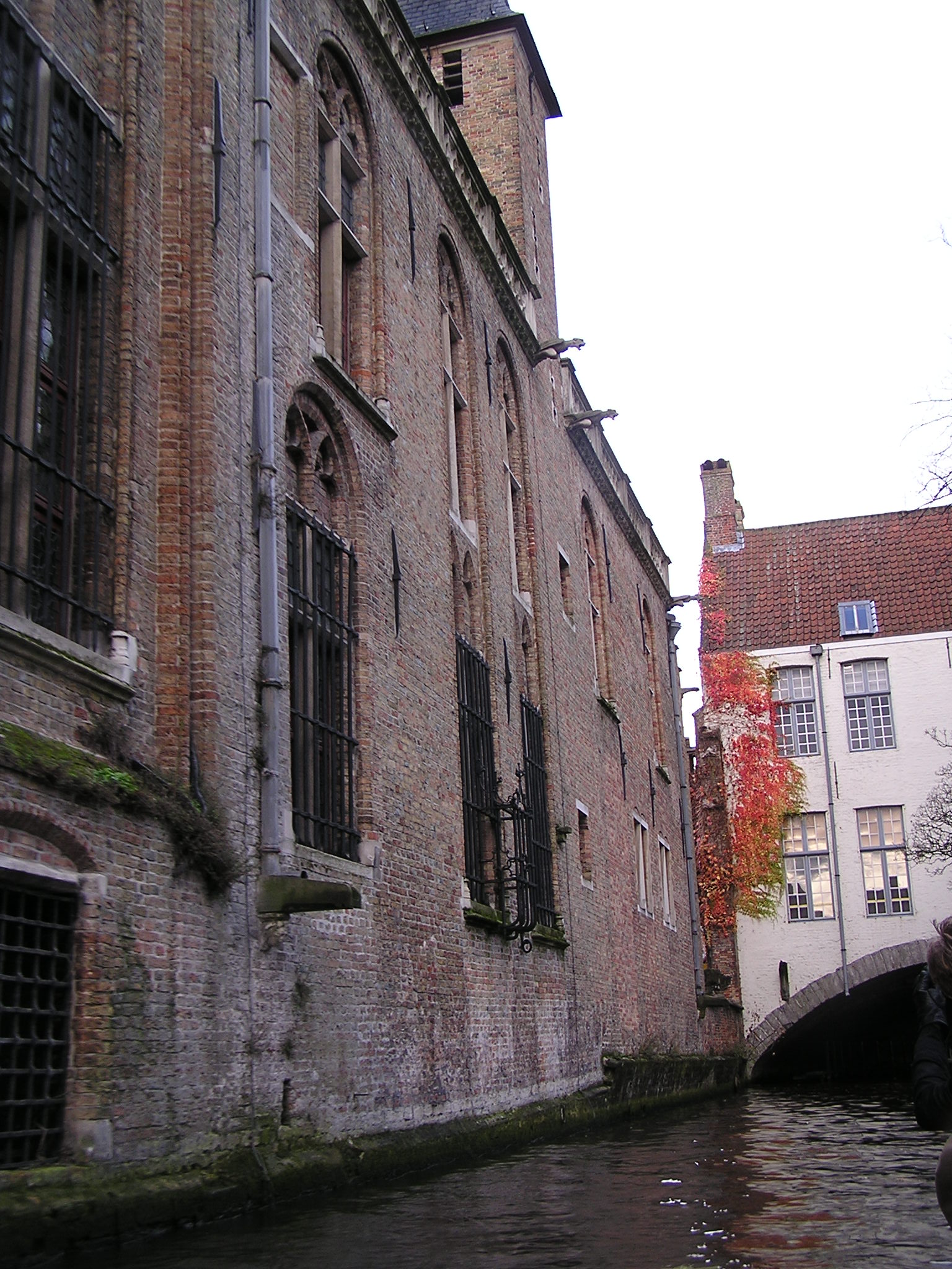 P1010110.JPG
