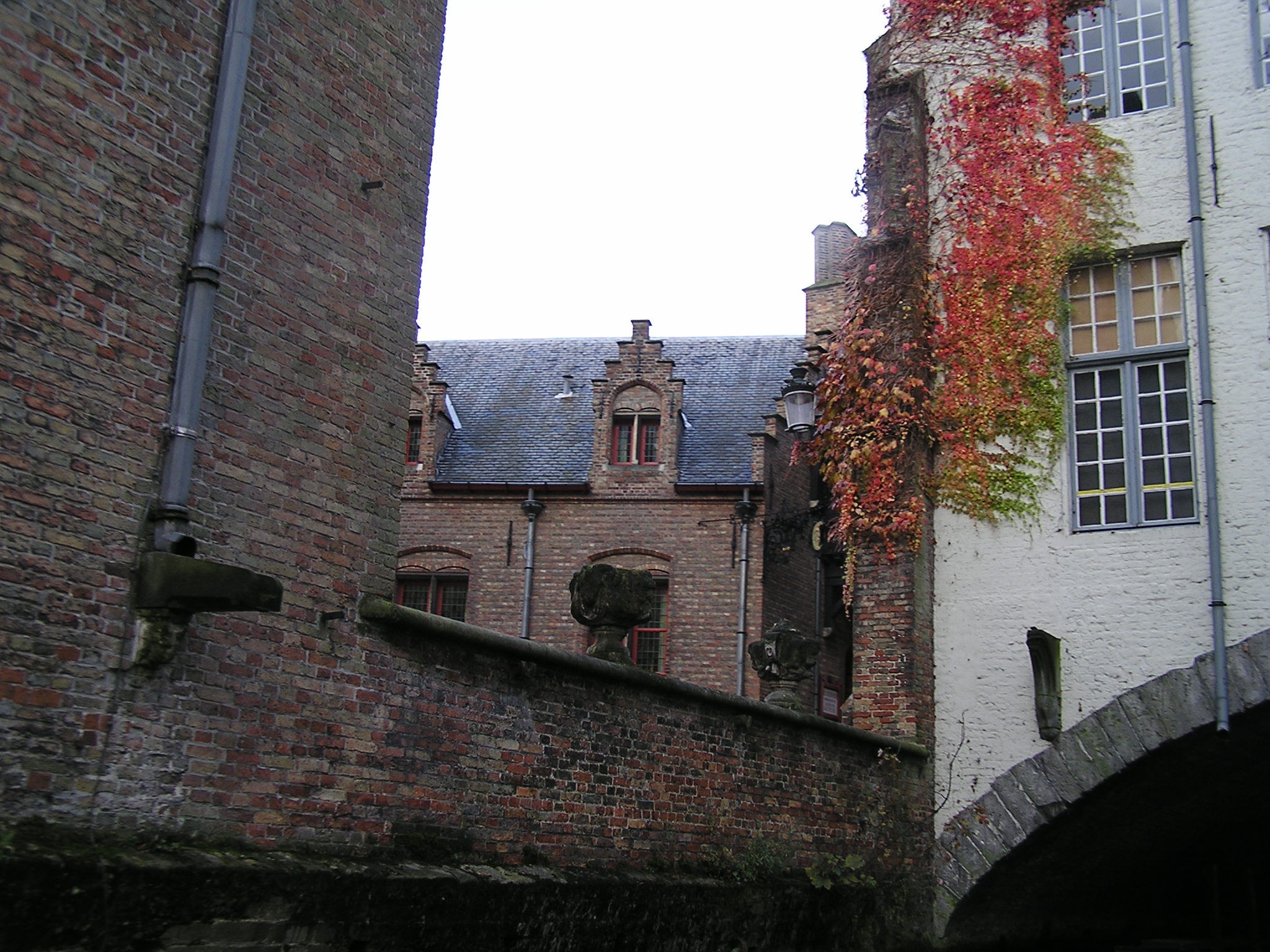 P1010112.JPG