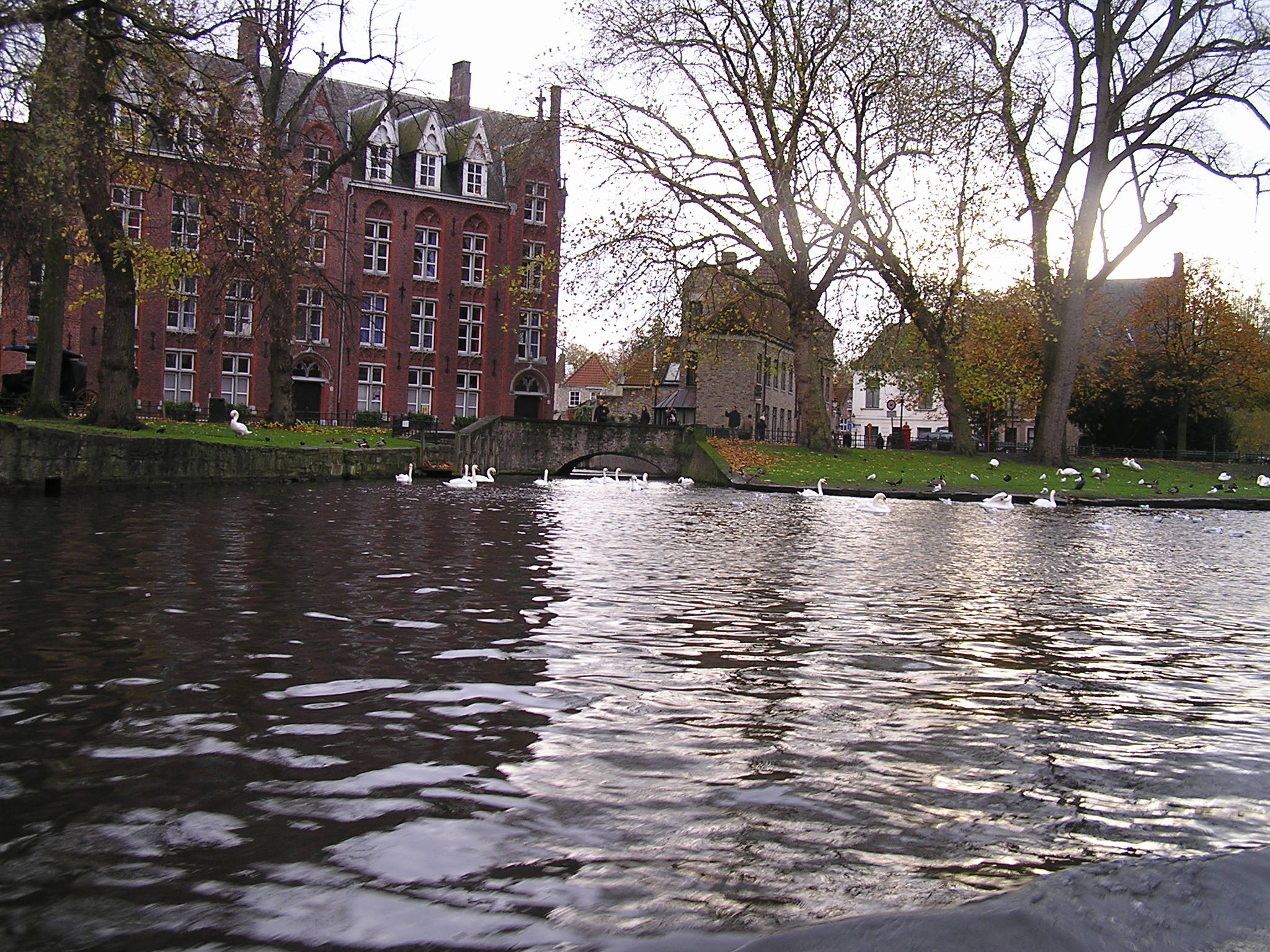 P1010082.JPG